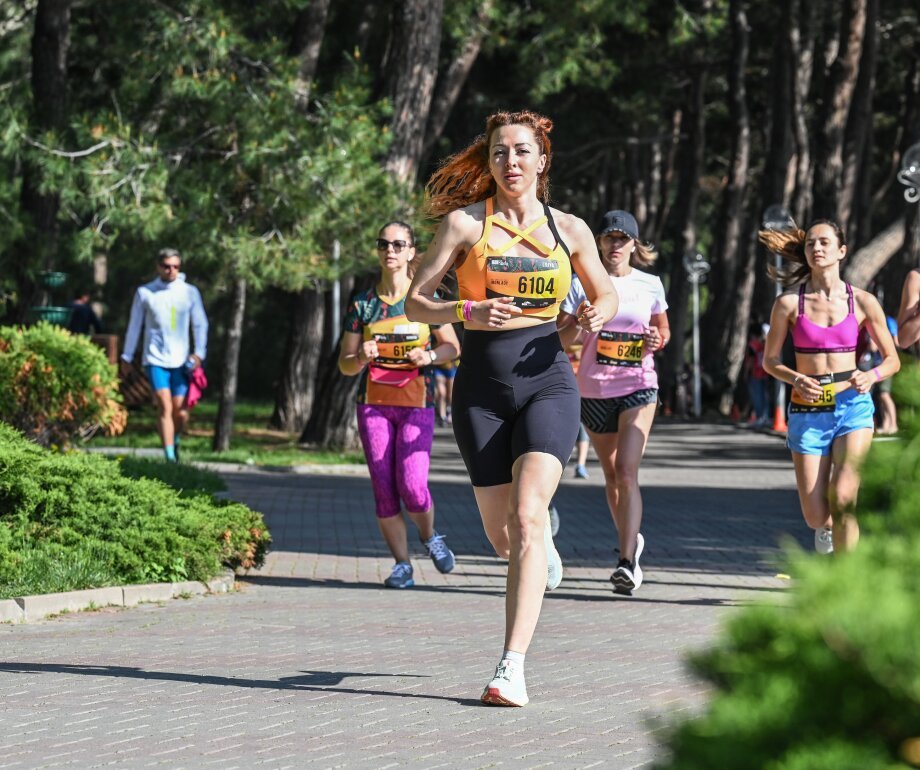 IRONLADY