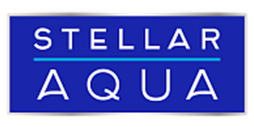 STELLAR GROUP STELLAR GROUP